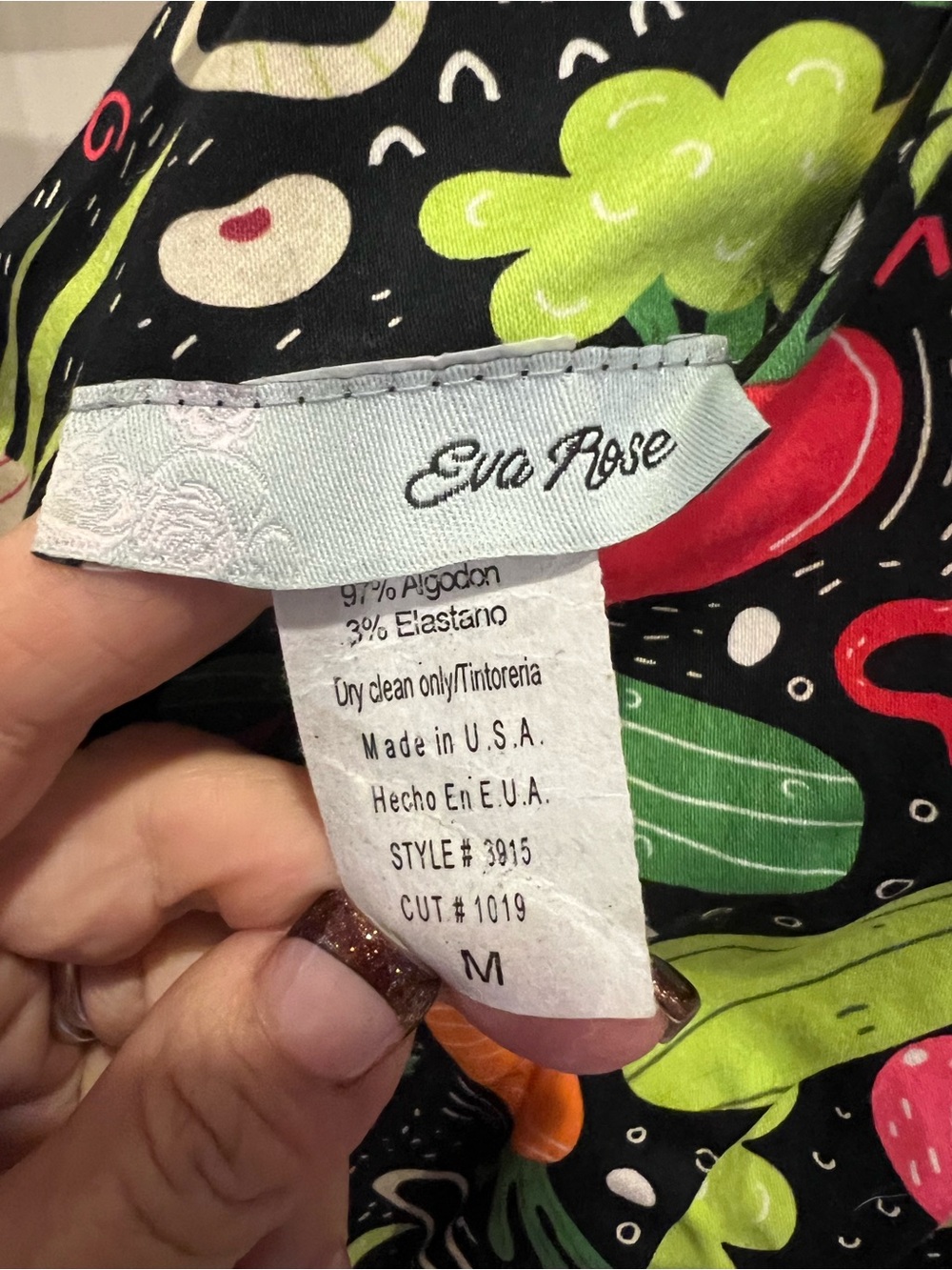 Eva Rose Black Multi-Color Printed Women’s Dress